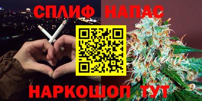 сатива Бузулук