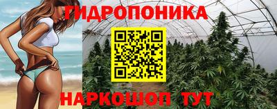 сатива Бузулук