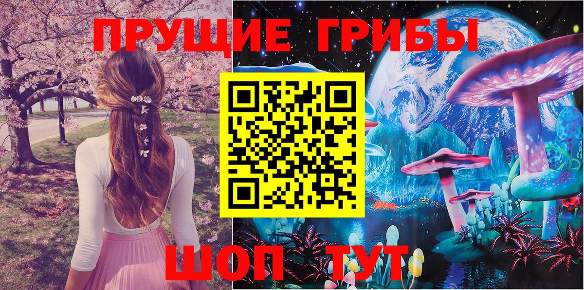 Псилоцибиновые грибы GOLDEN TEACHER Рыбинск